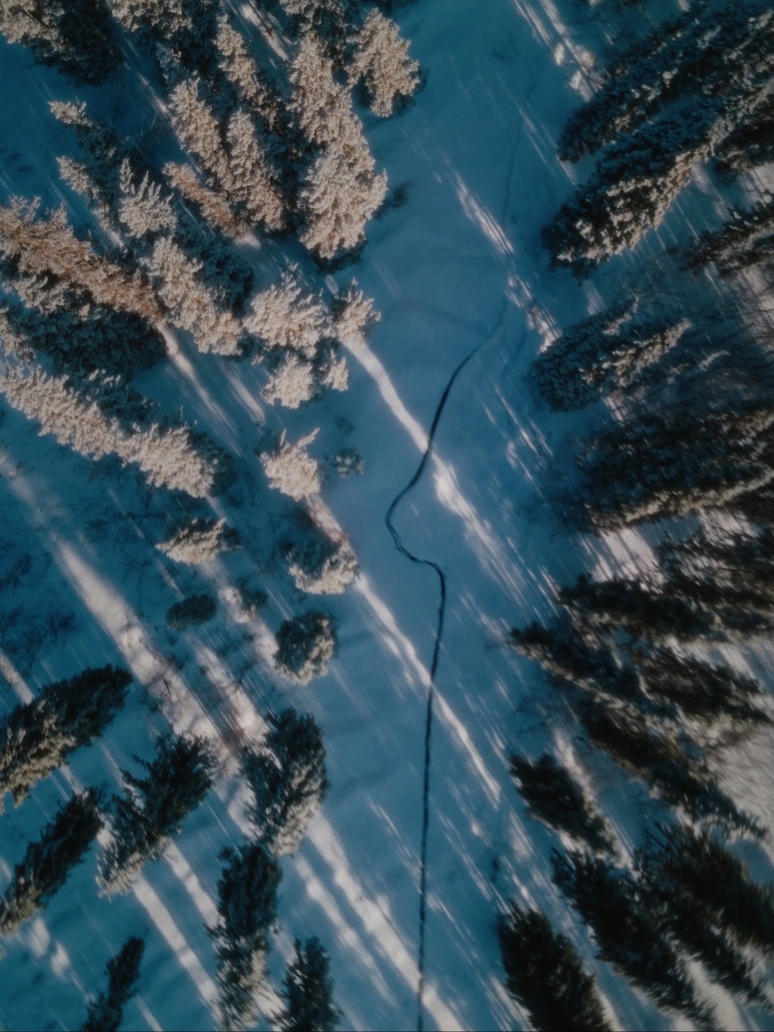 Above the tree line, Troms